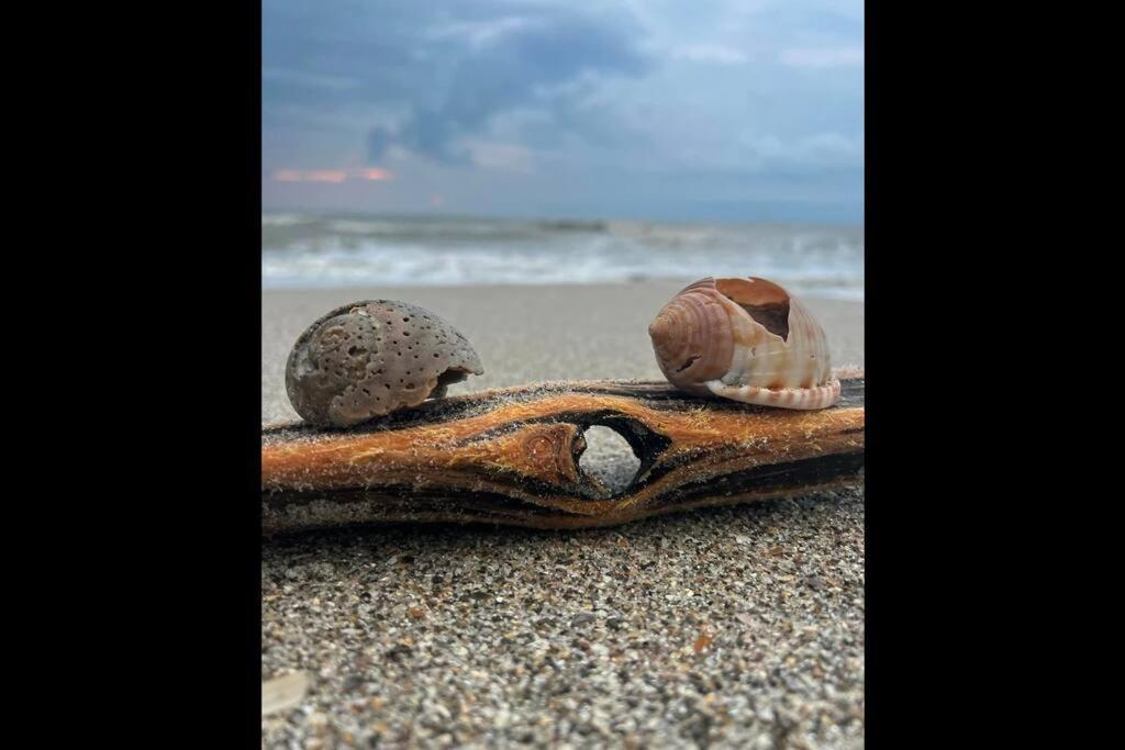 Cocoa, Beach House Екстериор снимка