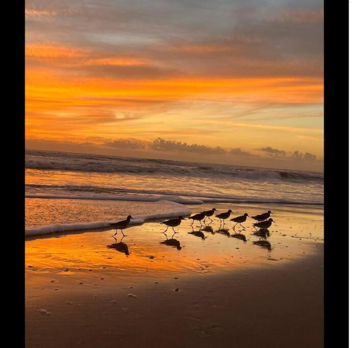 Cocoa, Beach House Екстериор снимка